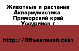 Животные и растения Аквариумистика. Приморский край,Уссурийск г.